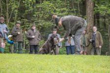 Hundepräsentation 2019